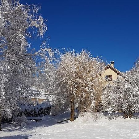 Studio Cosy Et Fonctionnel Entre Saule Et Lilas Villard-de-Lans Eksteriør billede