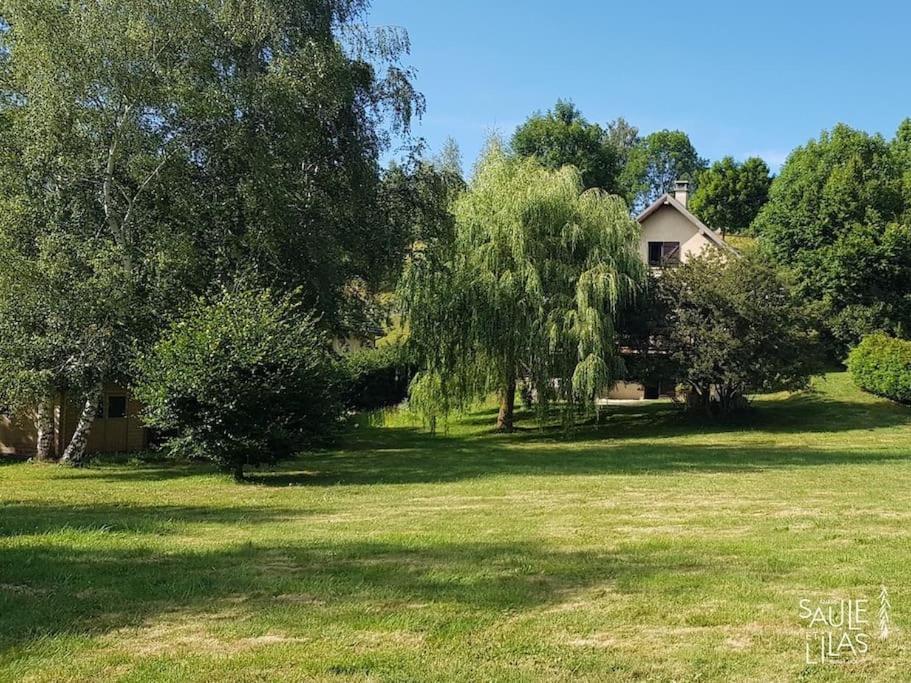 Studio Cosy Et Fonctionnel Entre Saule Et Lilas Villard-de-Lans Eksteriør billede