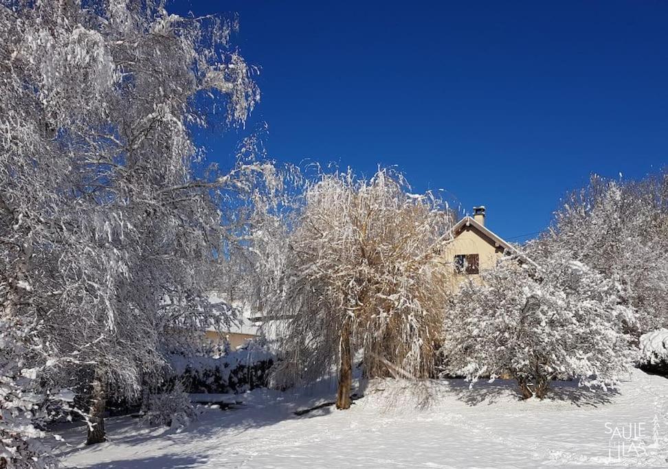 Studio Cosy Et Fonctionnel Entre Saule Et Lilas Villard-de-Lans Eksteriør billede