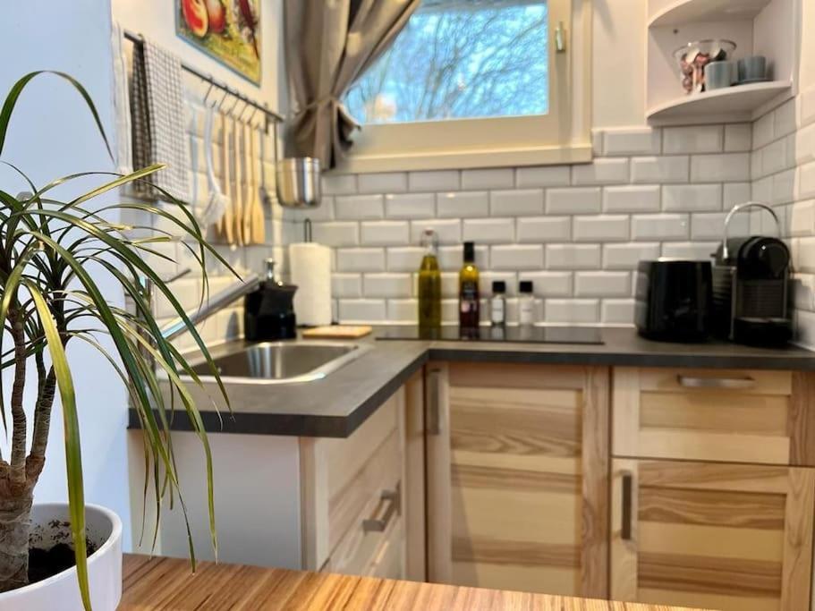 Studio Cosy Et Fonctionnel Entre Saule Et Lilas Villard-de-Lans Eksteriør billede